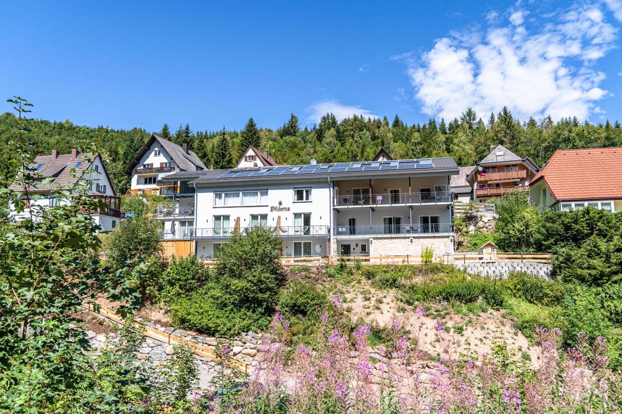 Апартаменты Stuub Langenbach Титизее-Нойштадт Экстерьер фото
